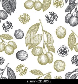 Hand drawn sketch walnut seamless pattern. Organic food vector illustration on white background. Vintage nut illustration. Engraved style botanical ba Stock Vector