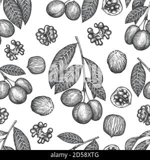 Hand drawn sketch walnut seamless pattern. Organic food vector illustration on white background. Vintage nut illustration. Engraved style botanical ba Stock Vector