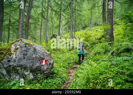 Woman hiking through the forest in the Austrian Alps, Postalm region, Salzburg, Austria Stock Photo