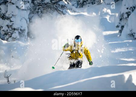 Man backcountry powder skiing, Werfenweng, St Johann im Pongau, Salzburg, Austria Stock Photo