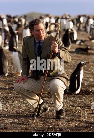 Prince Charles on Sea Lion Island March 1999 In The Falklands with the ...