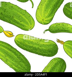 cucumber pattern on white background Stock Photo