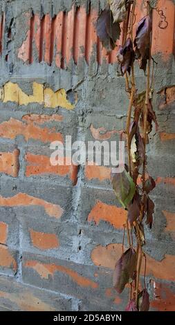 Red ribbed brick wall texture background with mortar joints Stock Photo ...
