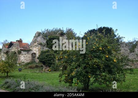 The ruins of Walsingham Friary, Norfolk, england, uk Stock Photo