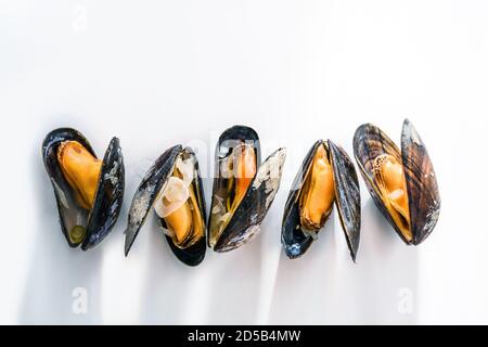 Row of cooked blue mussels with shadows on a white background, copy space, selected focus Stock Photo