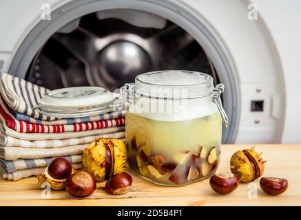 Make natural liquid laundry soap. Soaking horse chestnut, Aesculus, buckeye in water, witch containing natural saponin the cleaning matter. Jar contai Stock Photo