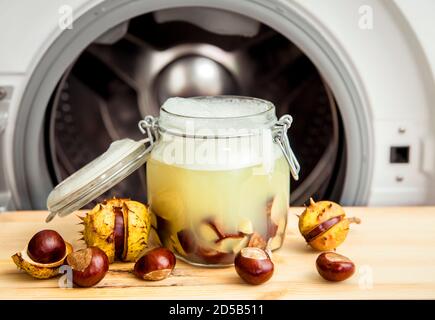 Make natural liquid laundry soap. Soaking horse chestnut, Aesculus, buckeye in water, witch containing natural saponin the cleaning matter. Jar contai Stock Photo