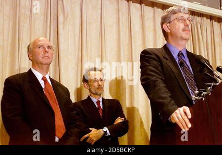alamy