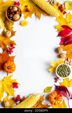 Frame of harvest or Thanksgiving background with autumnal fruits and leaves Stock Photo