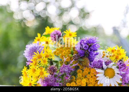 Bouquet of tansy, white daisy and thorny burdock wild summer flowers. Stock Photo