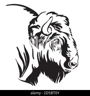 Decorative portrait of bison vector illustration in black color isolated on white background. Engraving template image of bull for label, logo, design Stock Vector