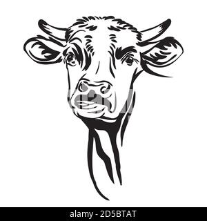 Cute funny abstract portrait of the bull vector Stock Vector