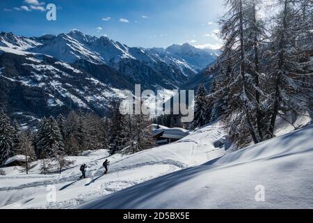 People ski touring in the swiss mountain alps Stock Photo