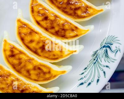 Overhead shot of gyozas placed in a white plate with blue ornament Stock Photo