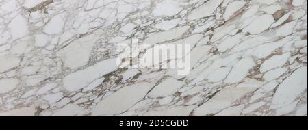 Calacatta Gold marble slab, polished. About 300x115 cm in high resolution. Stock Photo