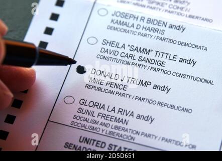 An early voter marks her ballot to vote for the reelection of President Donald Trump in the 2020 U.S. presidential election. Stock Photo