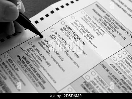 An early voter marks her ballot to vote for the reelection of President Donald Trump in the 2020 U.S. presidential election. Stock Photo