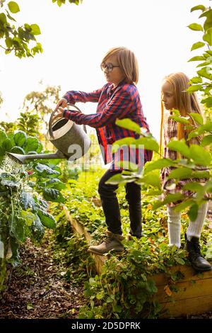Vitamins. Happy brother and sister watering plants in a garden outdoors together. Love, family, lifestyle, harvest, autumn concept. Cheerful, healthy and lovely. Organic food, agriculture, gardening. Stock Photo