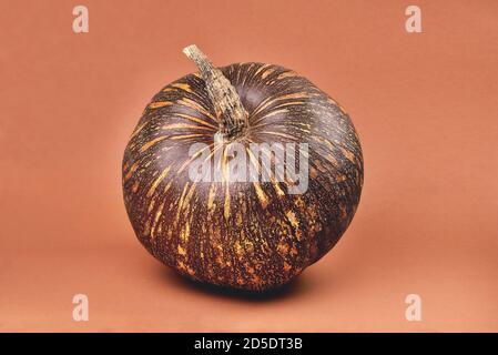 pumpkin of brown color with yellow stripes of a round shape on a beige bright background close-up Stock Photo