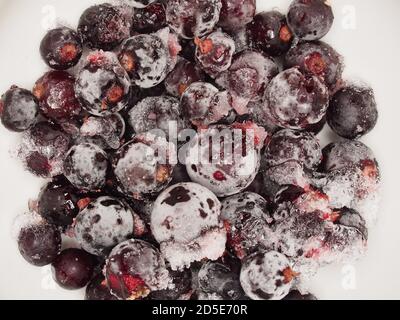 Frozen black currant berries covered in frost. Macro mode. Stock Photo