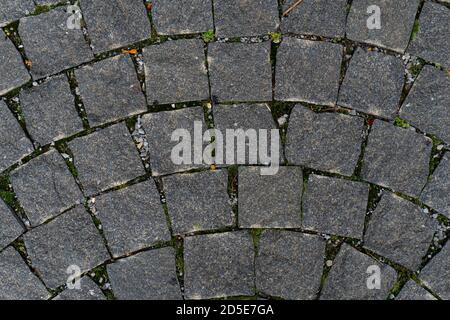 Traditional paving stone artwork in the shape of circle, Stock Photo