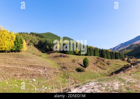 Autumn mountain landscape. green and yellow trees on the hillside. Forest in the mountains. Kyrgyzstan. Stock Photo