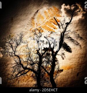 Silhouetted tree against an artistic sunset with clouds and patterns in the sky at dusk Stock Photo