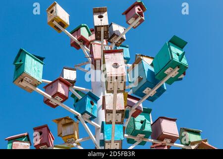 Birdhouse, bird house. Many wooden multi-colored houses on a decorative tree. Against the background of the blue sky. copy space. Kyrgyzstan. Stock Photo