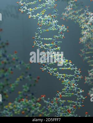 DNA is a molecule and a double helix carrying genetic instructions for the development, functioning, growth and reproduction of all known organisms. Stock Photo