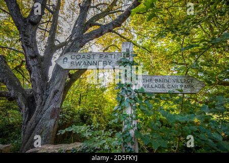 Typical wooden fingerpost direction sign on the South West Coast Path on the Heritage Coast pointing to Abbotsbury Swannery and Tithe Barn, Dorset Stock Photo