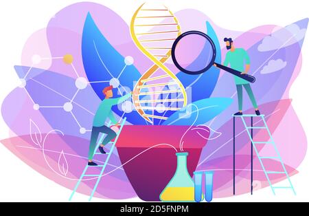 Genetically modified plants abstract concept vector illustration Stock ...