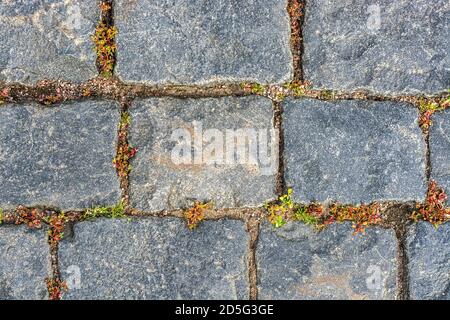 Fragment of a pavement pavement for use as an abstract background and texture. Stock Photo