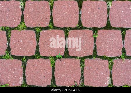 Fragment of a footpath paved with red stone slabs with small splashes for use as an abstract background. Stock Photo