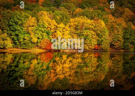 Trees on a hillside turning colors in the fall and reflecting off of the Allegheny River in Warren County, Pennsylvania, USA on a sunny fall day Stock Photo