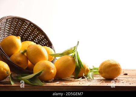 Group of freshly picked harvest lemons on wooden table coming out of a basket isolated white. Front view. Horizontal composition. Stock Photo
