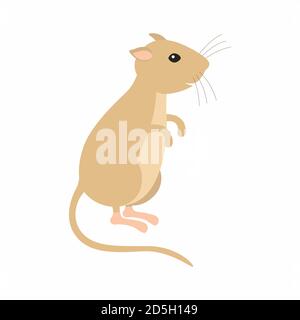 Gerbil sitting on his feet. Vector illustration isolated. Stock Vector