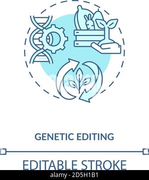 Genetic editing concept icon Stock Vector