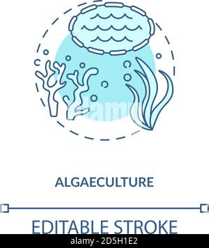 Algaeculture concept icon Stock Vector