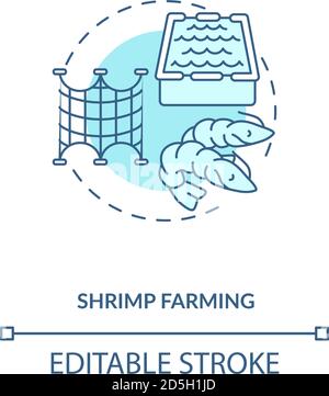 Shrimp farming concept icon Stock Vector
