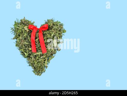 Green heart made of fresh grass with red ribbon on light blue pastel background. Stock Photo