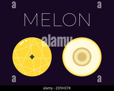 Vector of Melon and sliced half of Melon on dark background Stock Vector
