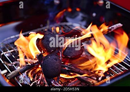 Garden grill with burning wood and charcoal. Summer barbecue in the garden. Stock Photo