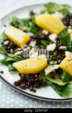 Lentil, Golden Beet and Spinach Salad with Home Made Vegan Feta