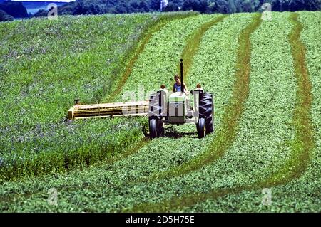 Young boy on tractor in Wisconsin hay field of clover being harvested for feed for dairy cows Stock Photo