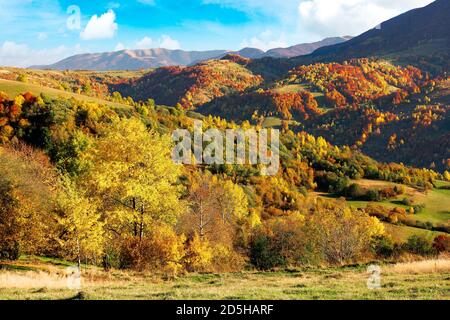beautiful mountain landscape on a sunny day. wonderful countryside scenery in autumn season. rural fields and trees in colorful foliage on the distant