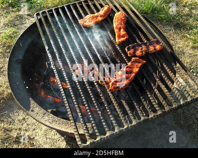 Marinated pork cooking over a campfire on a metal grill Stock Photo