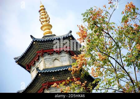 Tower of a Chinese temple / Pagoda with a golden spire, tree with leaves and flowers in the foreground, Splendid China Folk Village, Shenzhen, China Stock Photo