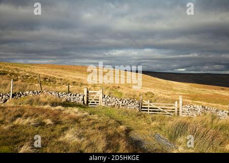 Gate in the Pennine Way as it crosses the flank of Fountains Fell in the Yorkshire Dales, UK Stock Photo