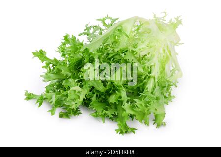 Fresh green leaves of endive frisee chicory salad isolated on white background with clipping path and full depth of field Stock Photo