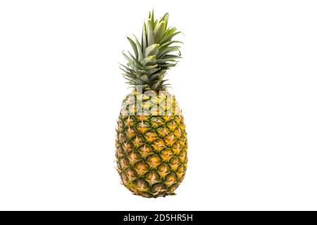 A single whole pineapple isolated on white background. The (Ananas comosus) is a tropical plant with an edible fruit and the most economically signifi Stock Photo